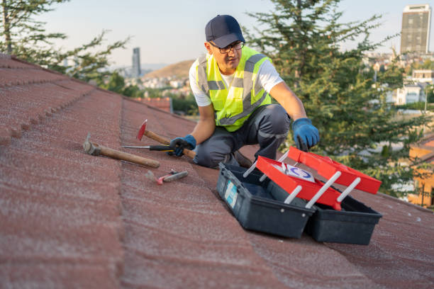 Best Historical Building Siding Restoration  in Fairmount, CO